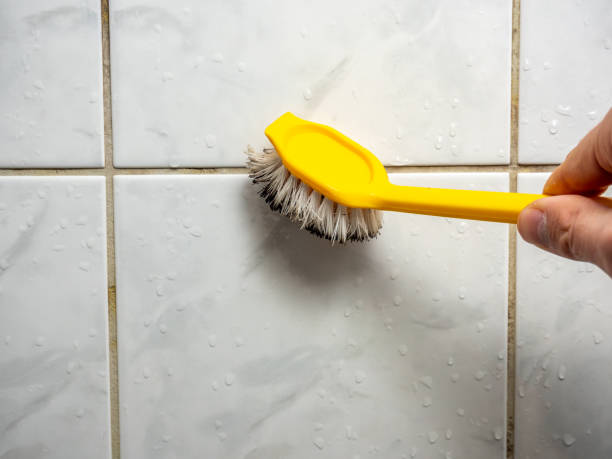Best Emergency Mold Removal  in Edwardsville, KS