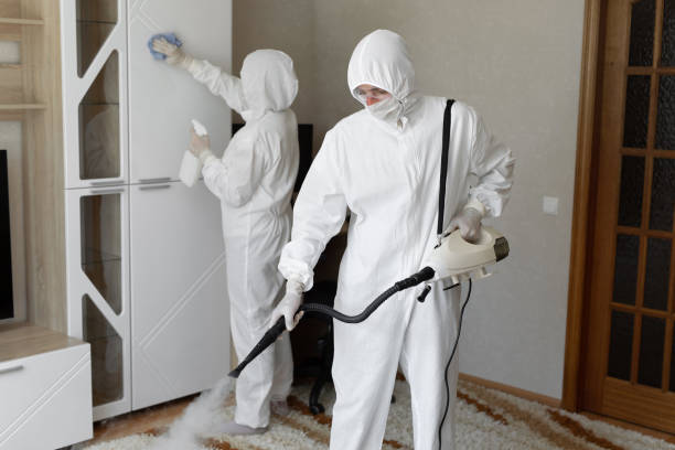 Best Home Mold Removal  in Edwardsville, KS