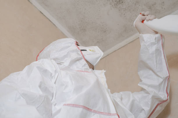 Best Crawl Space Mold Removal  in Edwardsville, KS
