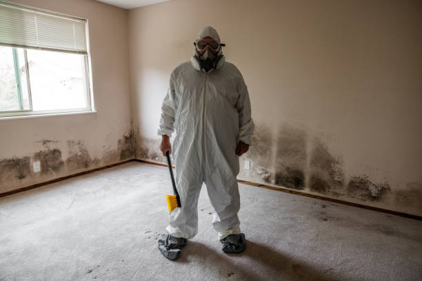 Best Office Mold Removal Services  in Edwardsville, KS